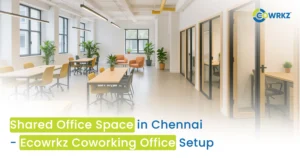 Shared Office Space in Chennai - Ecowrkz Coworking Office Setup
